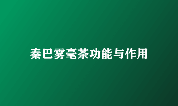 秦巴雾毫茶功能与作用