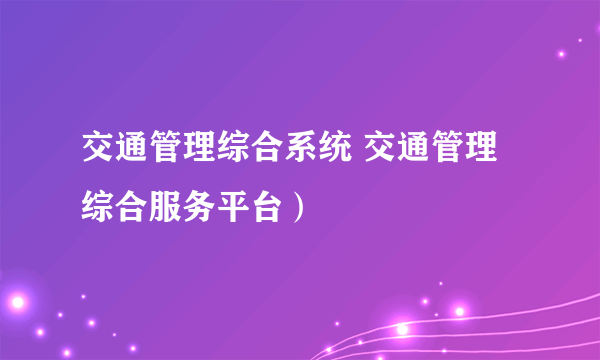 交通管理综合系统 交通管理综合服务平台）