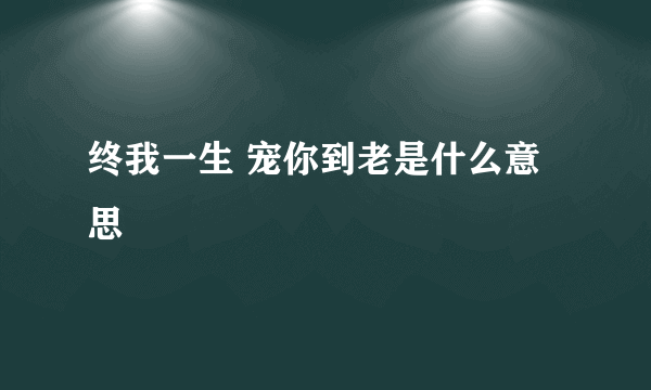 终我一生 宠你到老是什么意思