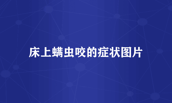床上螨虫咬的症状图片