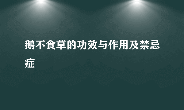 鹅不食草的功效与作用及禁忌症