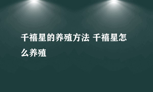 千禧星的养殖方法 千禧星怎么养殖