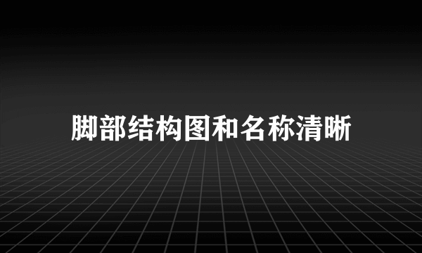 脚部结构图和名称清晰