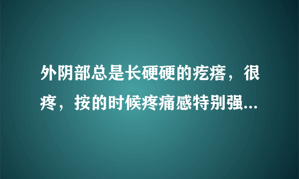 外阴部总是长硬硬的疙瘩，很疼，按的时候疼痛感特别强。总是长