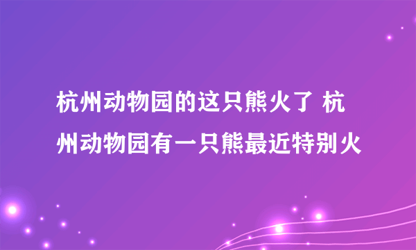 杭州动物园的这只熊火了 杭州动物园有一只熊最近特别火