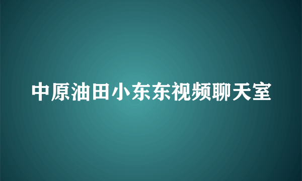中原油田小东东视频聊天室