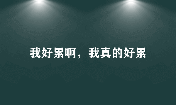 我好累啊，我真的好累