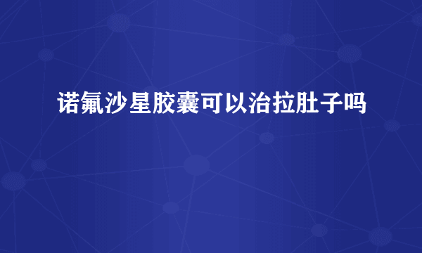 诺氟沙星胶囊可以治拉肚子吗