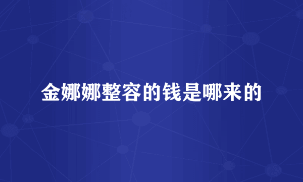 金娜娜整容的钱是哪来的