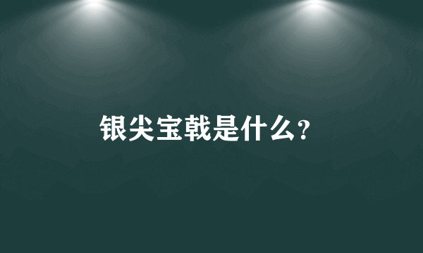 银尖宝戟是什么？