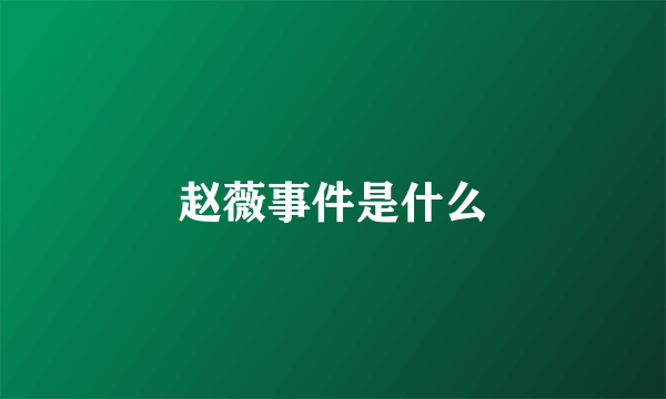 赵薇事件是什么