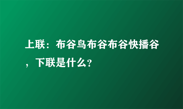 上联：布谷鸟布谷布谷快播谷，下联是什么？