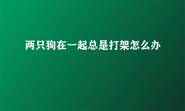 两只狗在一起总是打架怎么办