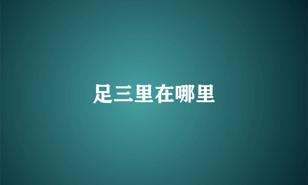 足三里在哪里