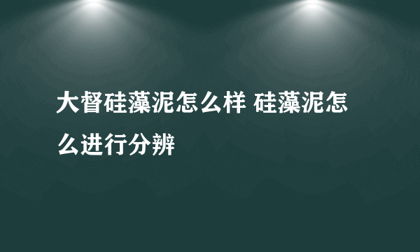 大督硅藻泥怎么样 硅藻泥怎么进行分辨