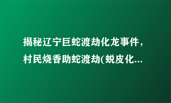 揭秘辽宁巨蛇渡劫化龙事件，村民烧香助蛇渡劫(蜕皮化龙)-飞外网