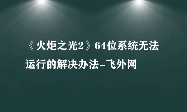 《火炬之光2》64位系统无法运行的解决办法-飞外网