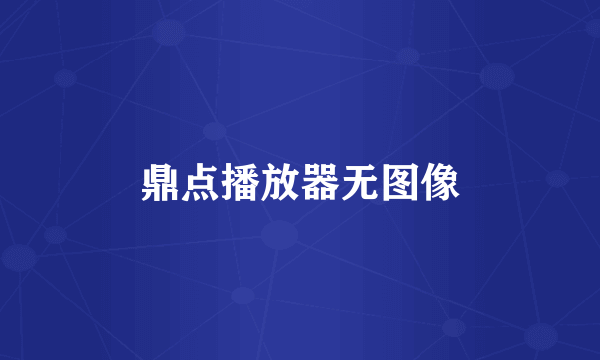 鼎点播放器无图像