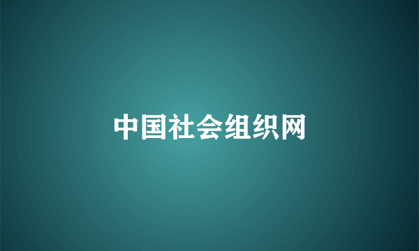 中国社会组织网