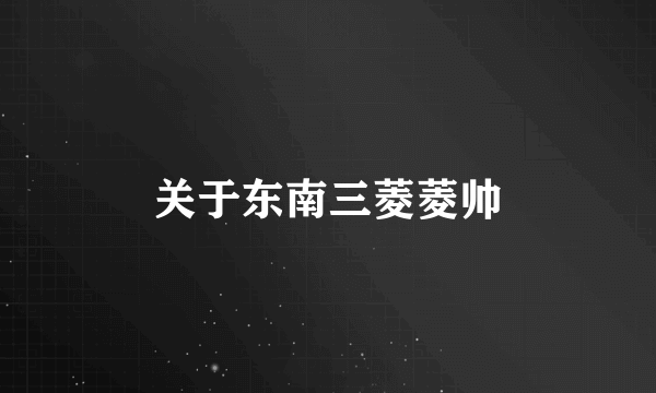 关于东南三菱菱帅