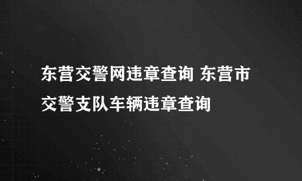 东营交警网违章查询 东营市交警支队车辆违章查询