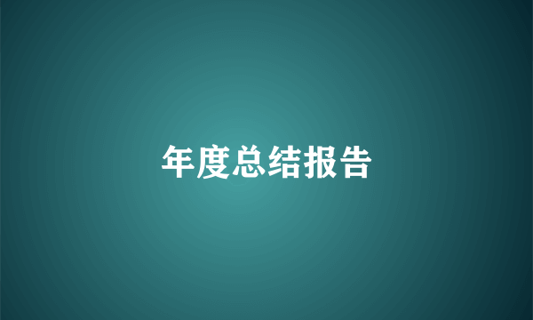 年度总结报告