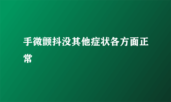 手微颤抖没其他症状各方面正常