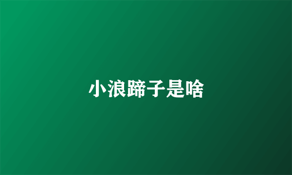 小浪蹄子是啥