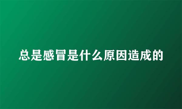 总是感冒是什么原因造成的