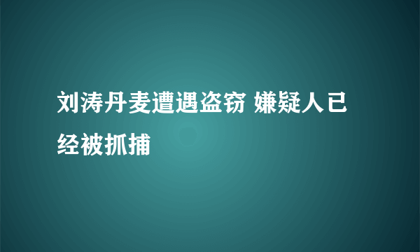 刘涛丹麦遭遇盗窃 嫌疑人已经被抓捕