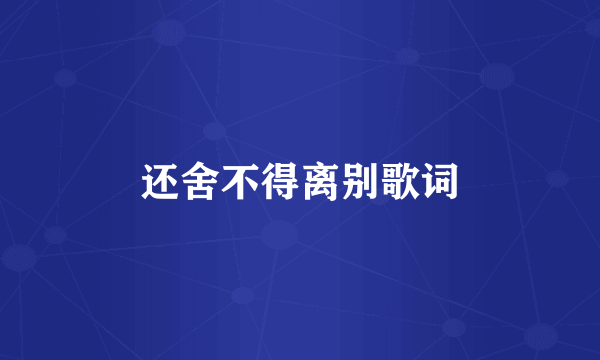 还舍不得离别歌词