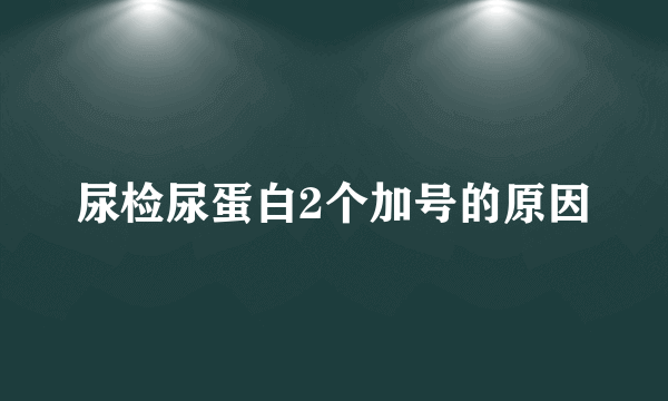 尿检尿蛋白2个加号的原因