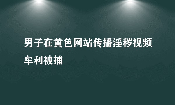 男子在黄色网站传播淫秽视频牟利被捕
