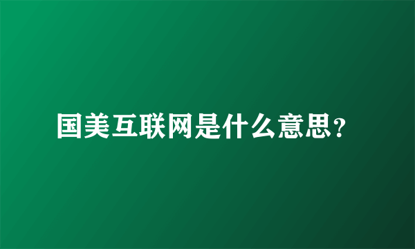 国美互联网是什么意思？