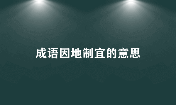成语因地制宜的意思