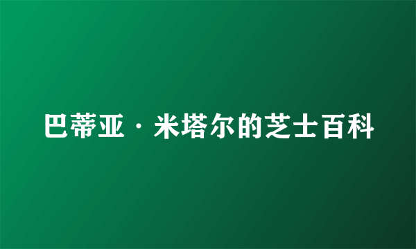 巴蒂亚·米塔尔的芝士百科