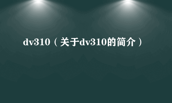 dv310（关于dv310的简介）