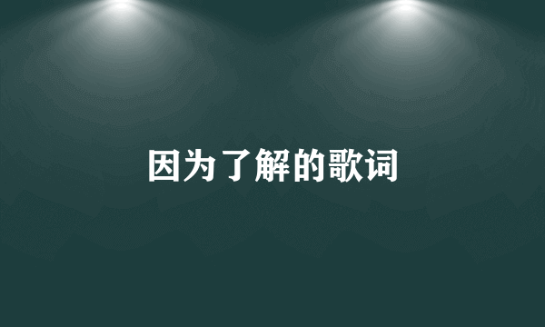 因为了解的歌词