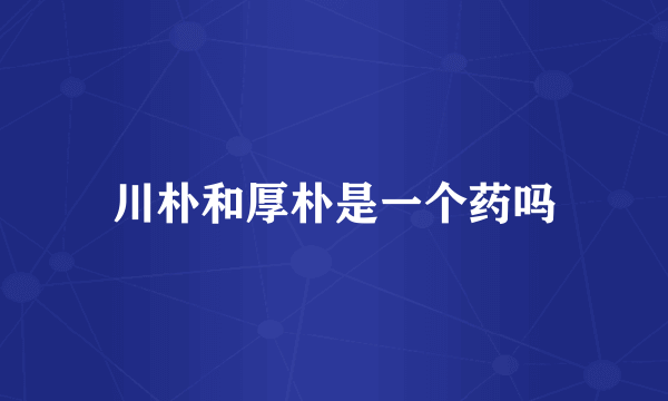 川朴和厚朴是一个药吗