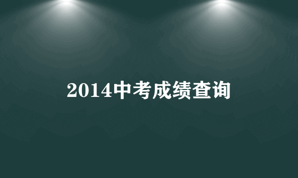 2014中考成绩查询