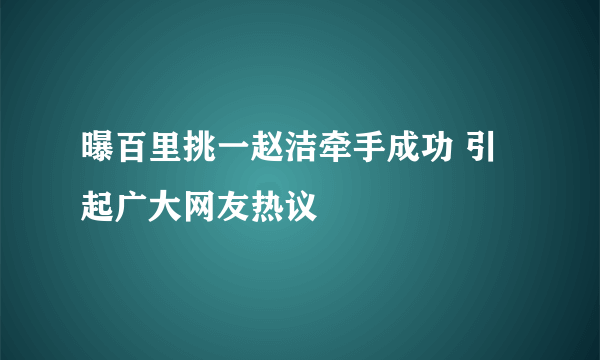 曝百里挑一赵洁牵手成功 引起广大网友热议