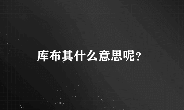 库布其什么意思呢？