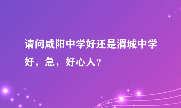 请问咸阳中学好还是渭城中学好，急，好心人？
