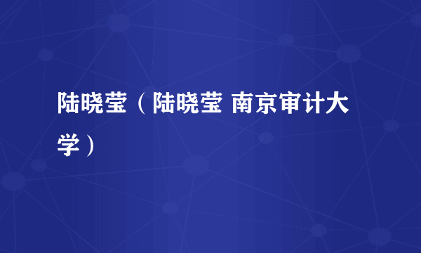 陆晓莹（陆晓莹 南京审计大学）