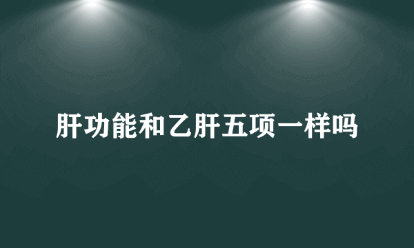 肝功能和乙肝五项一样吗