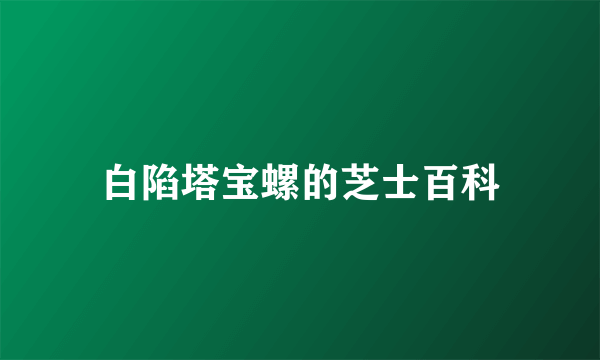 白陷塔宝螺的芝士百科