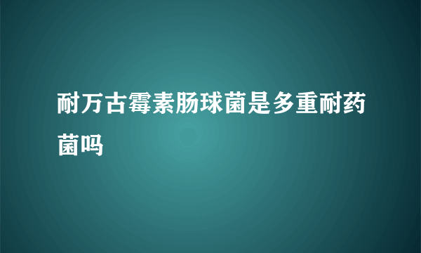 耐万古霉素肠球菌是多重耐药菌吗