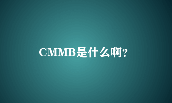 CMMB是什么啊？