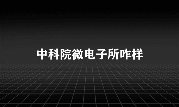 中科院微电子所咋样