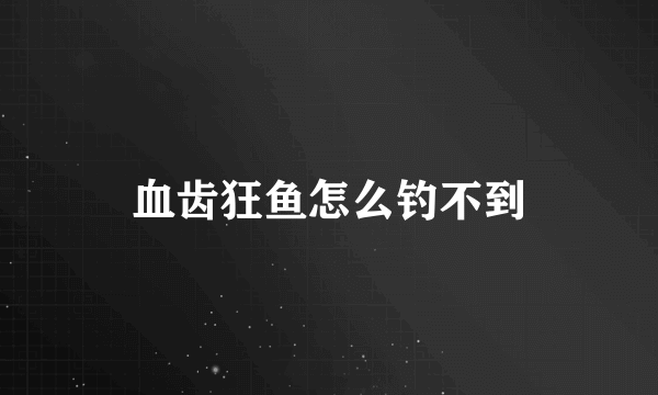 血齿狂鱼怎么钓不到